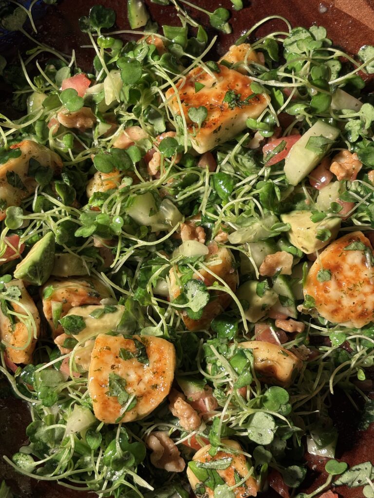 Grilled Halloumi Microgreens Salad